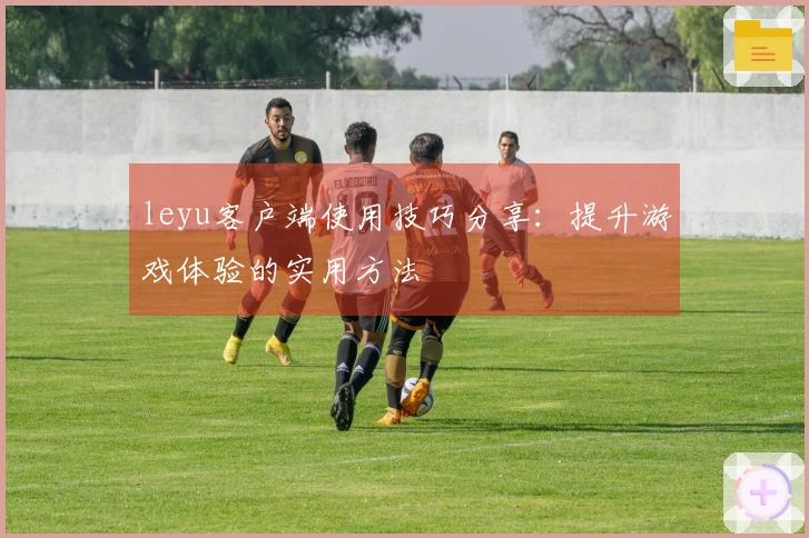 leyu客户端使用技巧分享：提升游戏体验的实用方法