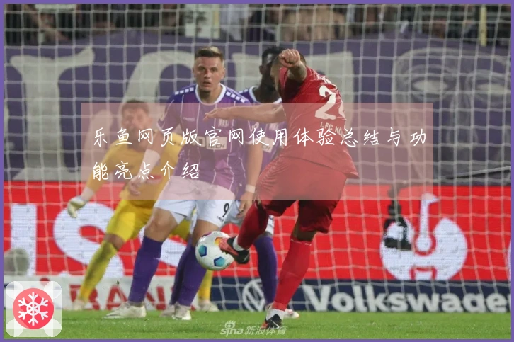 乐鱼网页版官网使用体验总结与功能亮点介绍