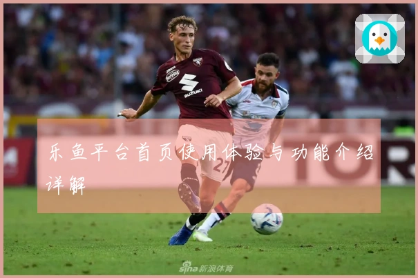 乐鱼平台首页使用体验与功能介绍详解