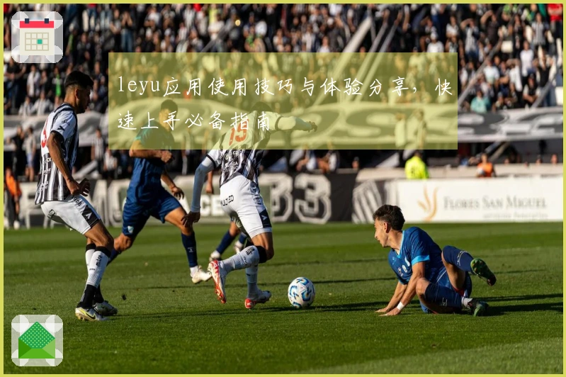 leyu应用使用技巧与体验分享,快速上手必备指南