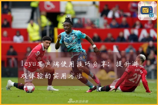 leyu客户端使用技巧分享：提升游戏体验的实用方法