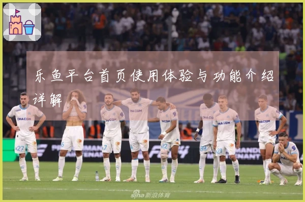 乐鱼平台首页使用体验与功能介绍详解