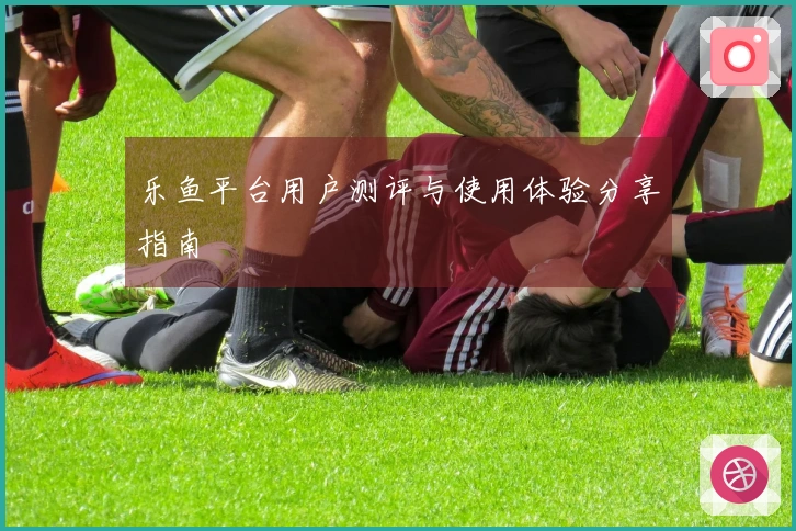 乐鱼平台用户测评与使用体验分享指南